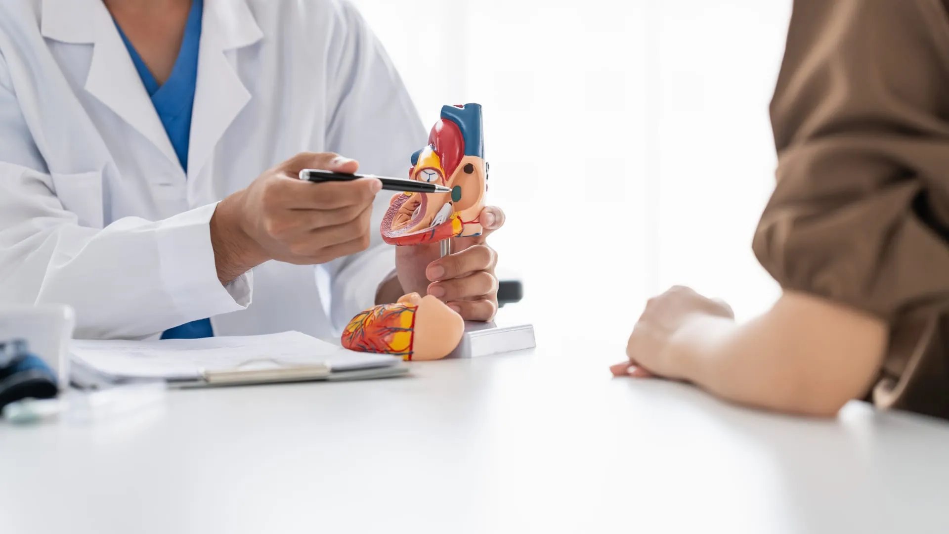 2025 11 2. Cuidado de la salud cardiovascular el pilar de una vida larga activa y saludable